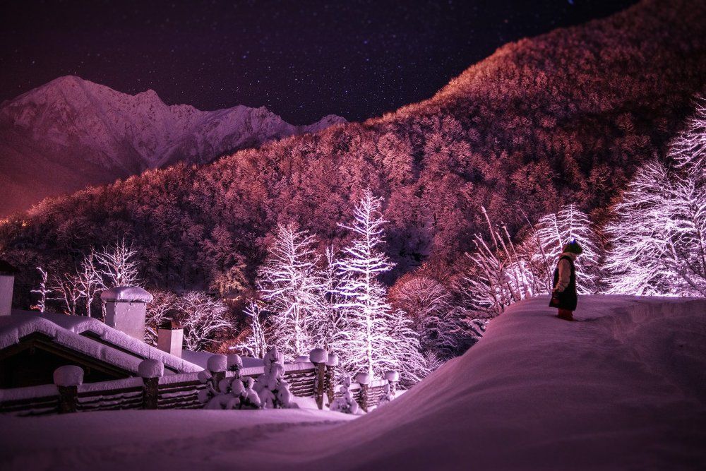 Черничные ночи. Красная поляна.