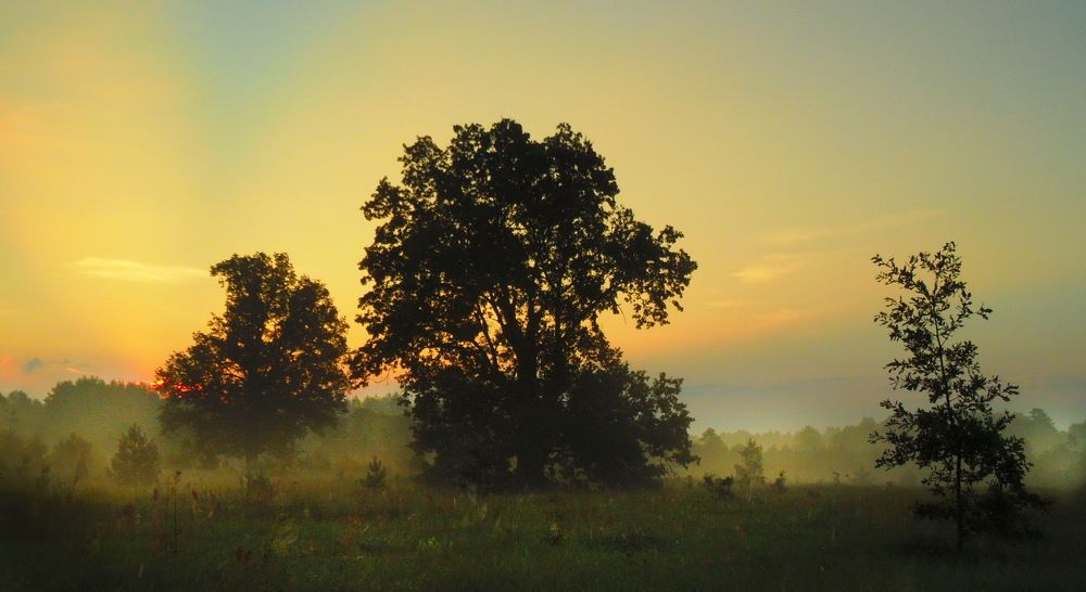 Утро гламурное