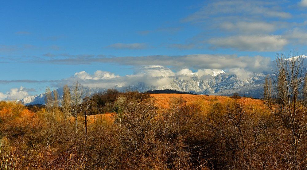 Февраль в Абхазии - и снег и солнце