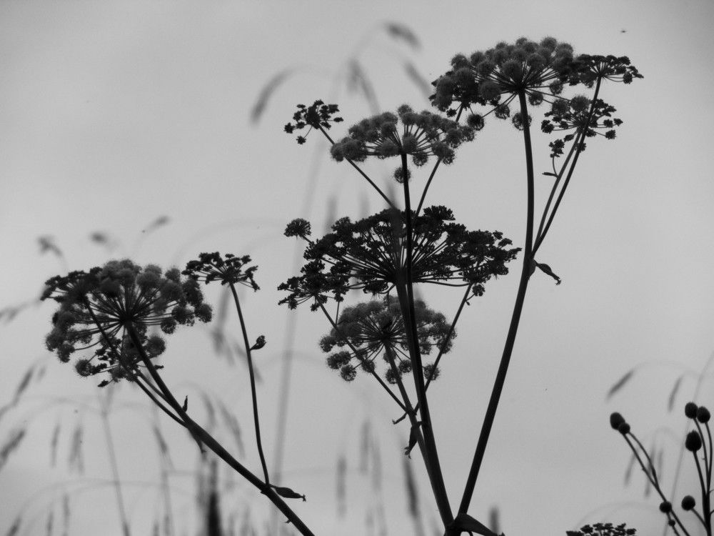 Photograph by Василий