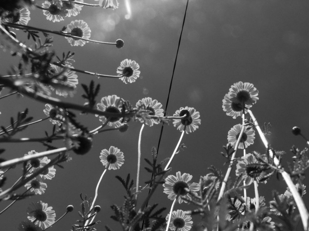 Photograph by Дарья