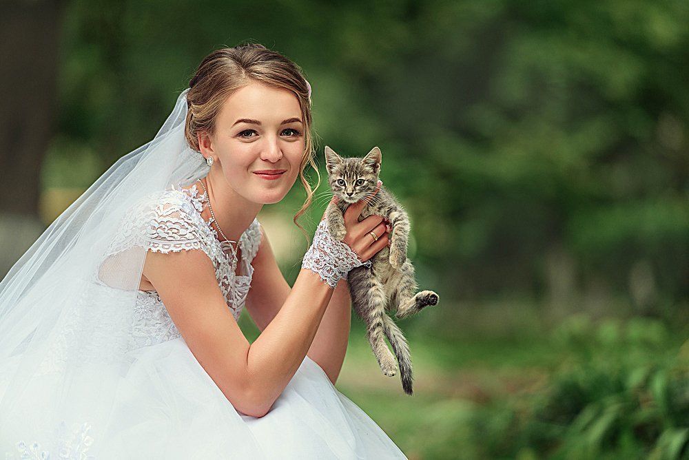 Фотография автора Андрей Дереновский