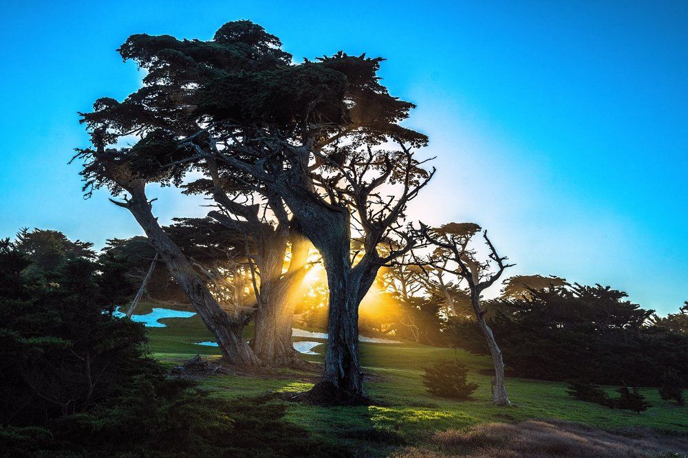 Солнечные ванны