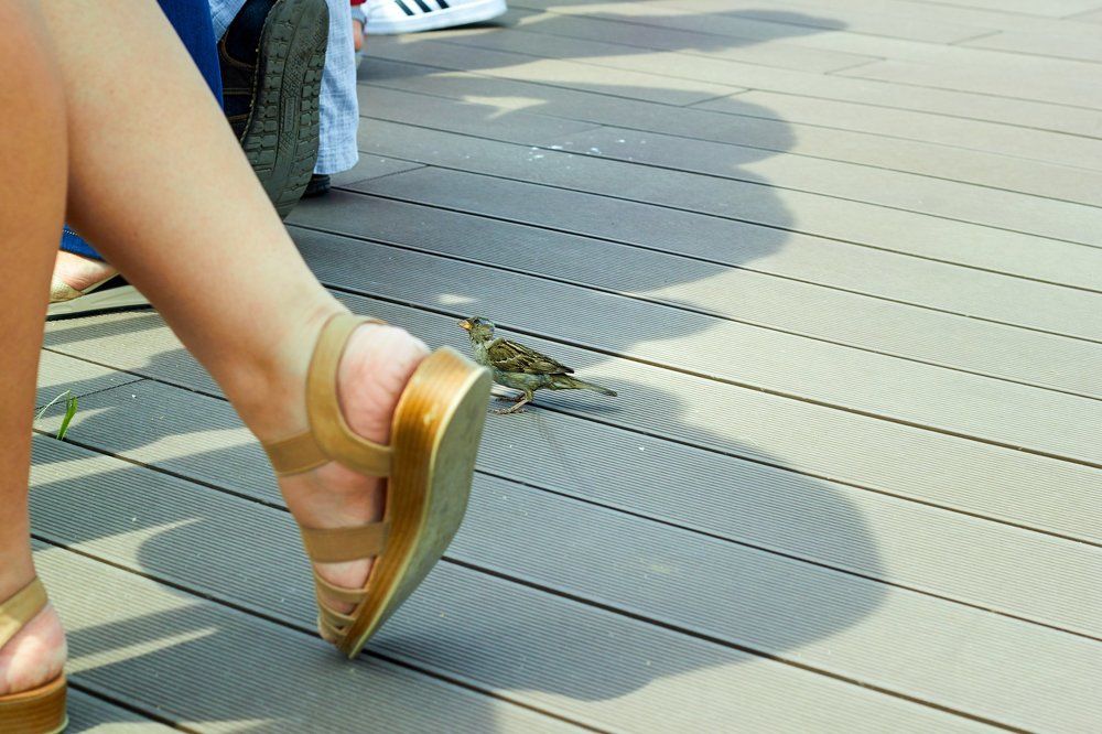 Любопытный