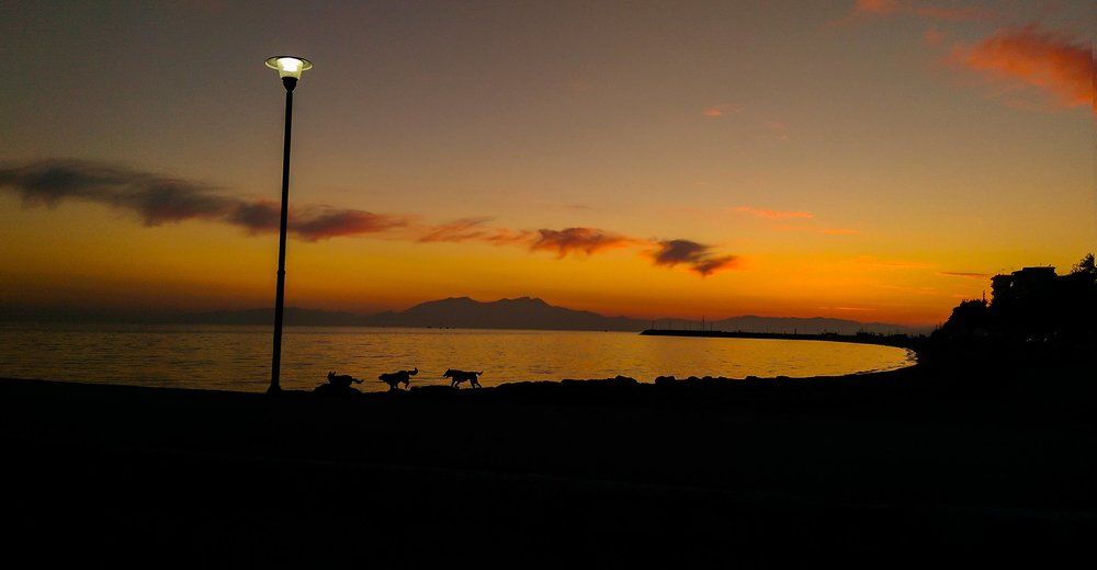 Берегом - бегом