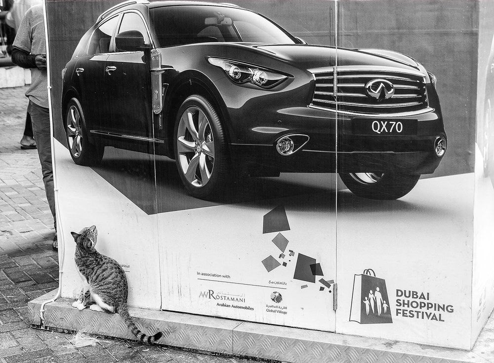 Мечтать не вредно