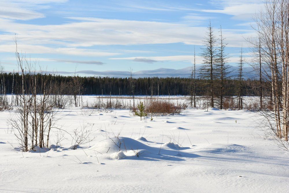 Зимнее умиротворение