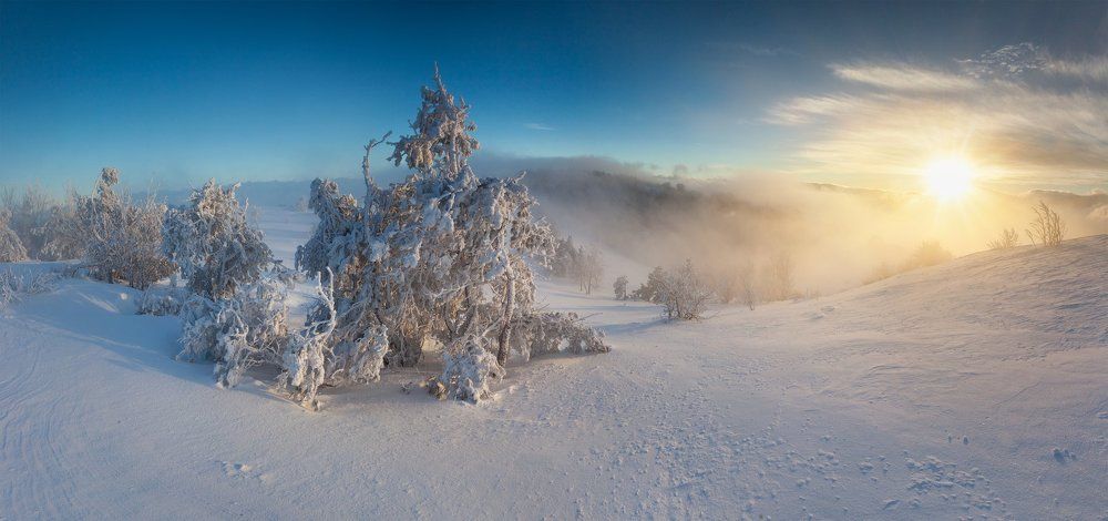 Подарок февраля