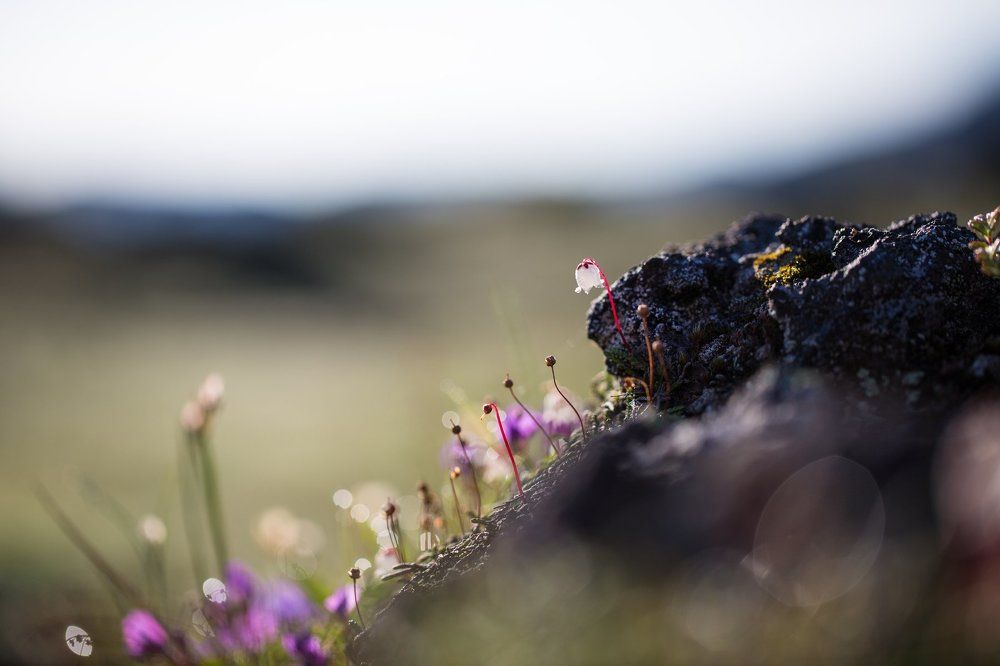 Один из всех