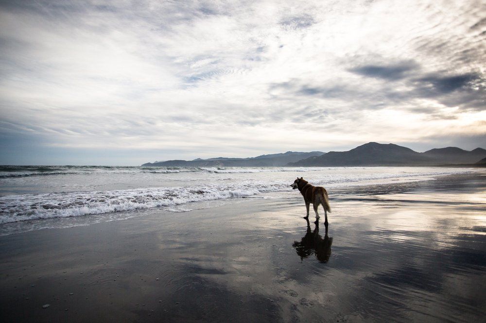 Прекрасные дали