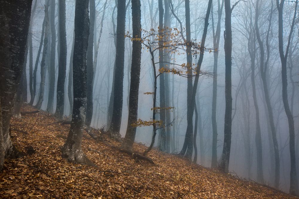 Фотография автора AGIL