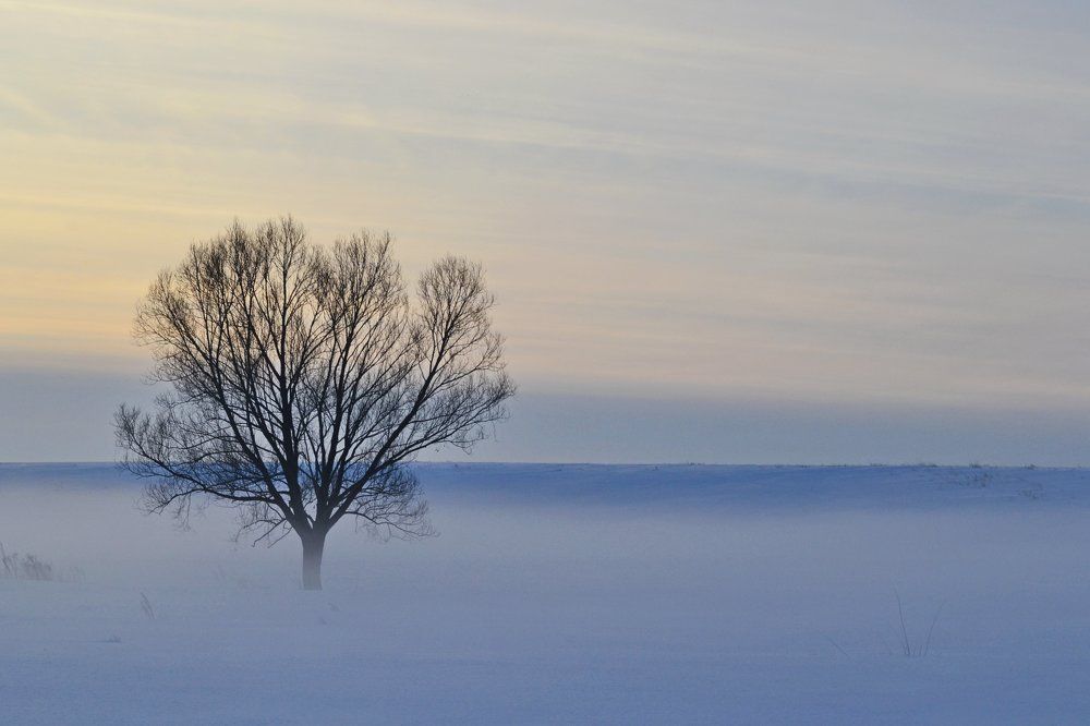 Photograph by Роман