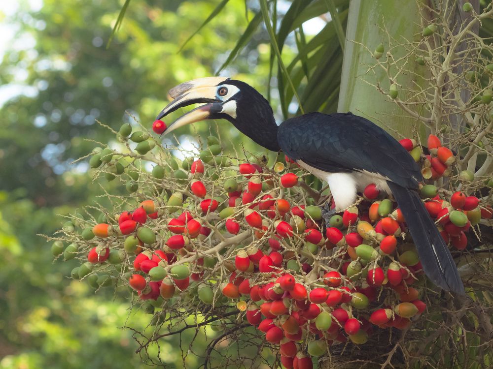 Самая вкусная