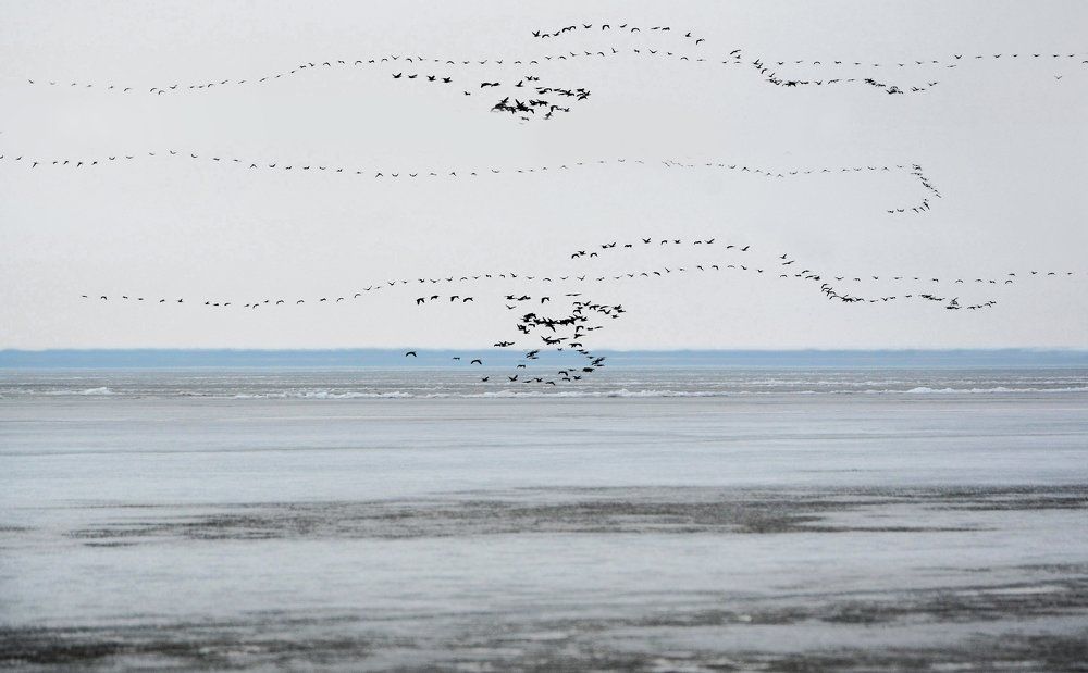 Весенняя симфония