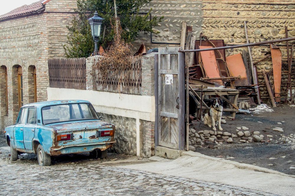 Собачья жизнь...