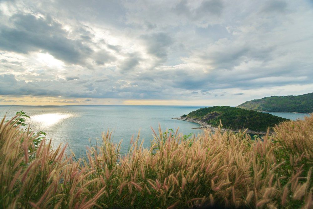 Южный берег