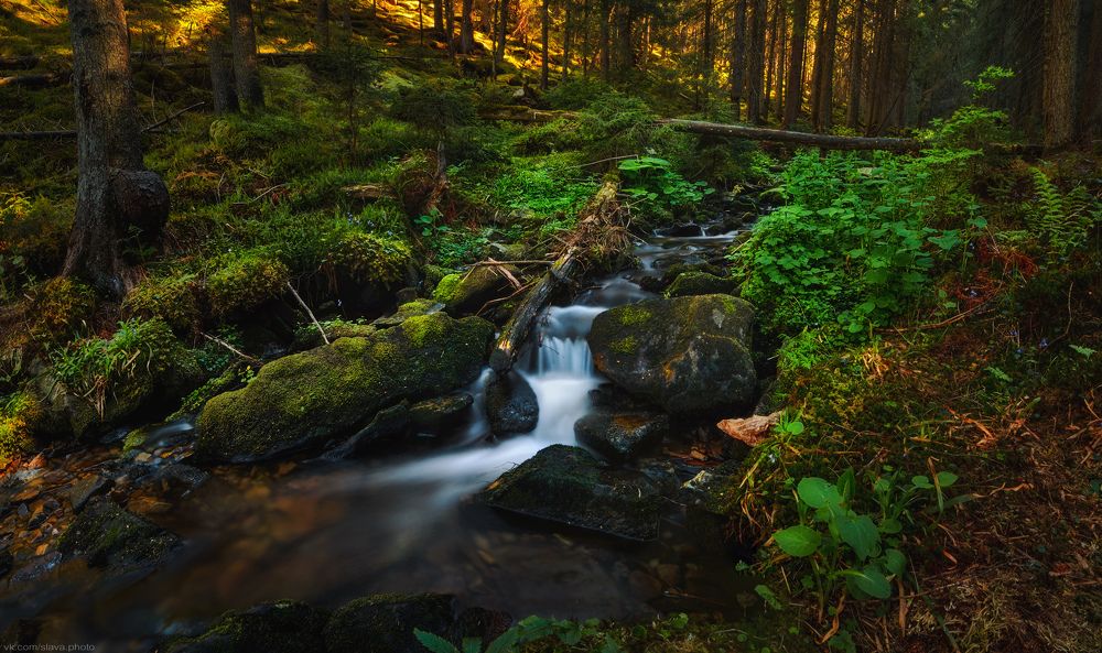 Горный поток