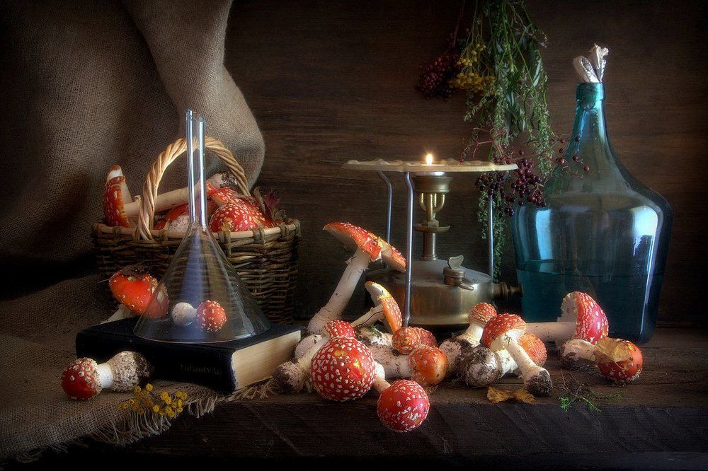 Все грибы есть можно, но некоторые только один раз!