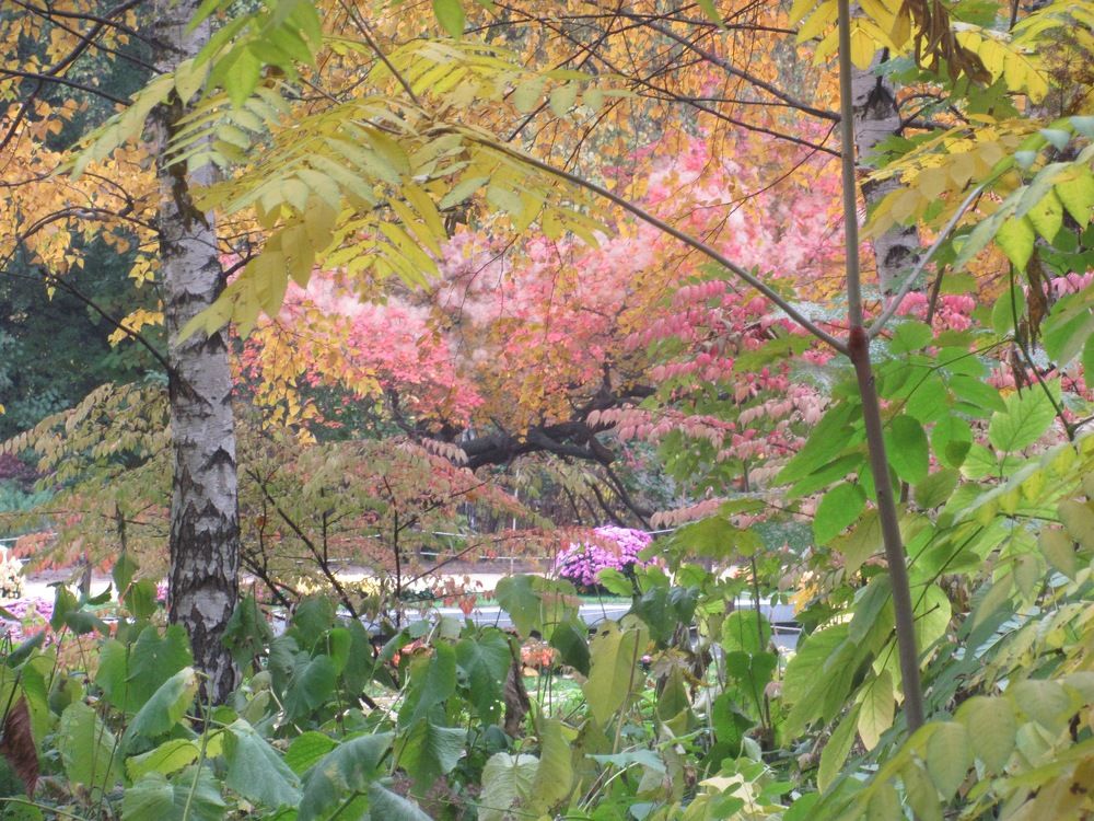 Photograph by Куимов Александр