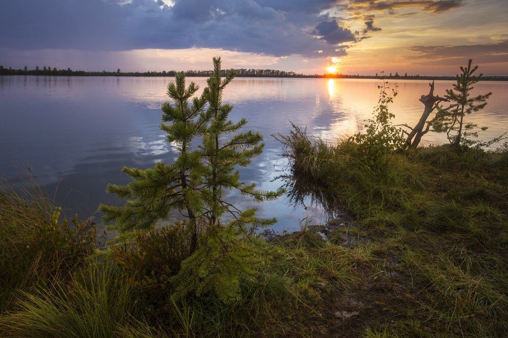 После дождя