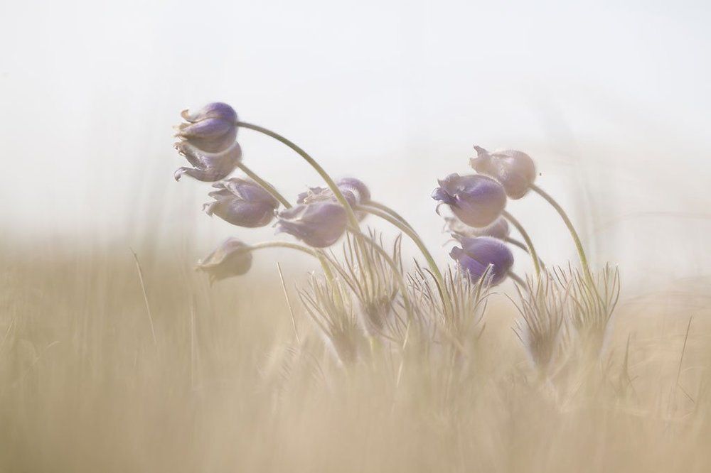 Пробуждение