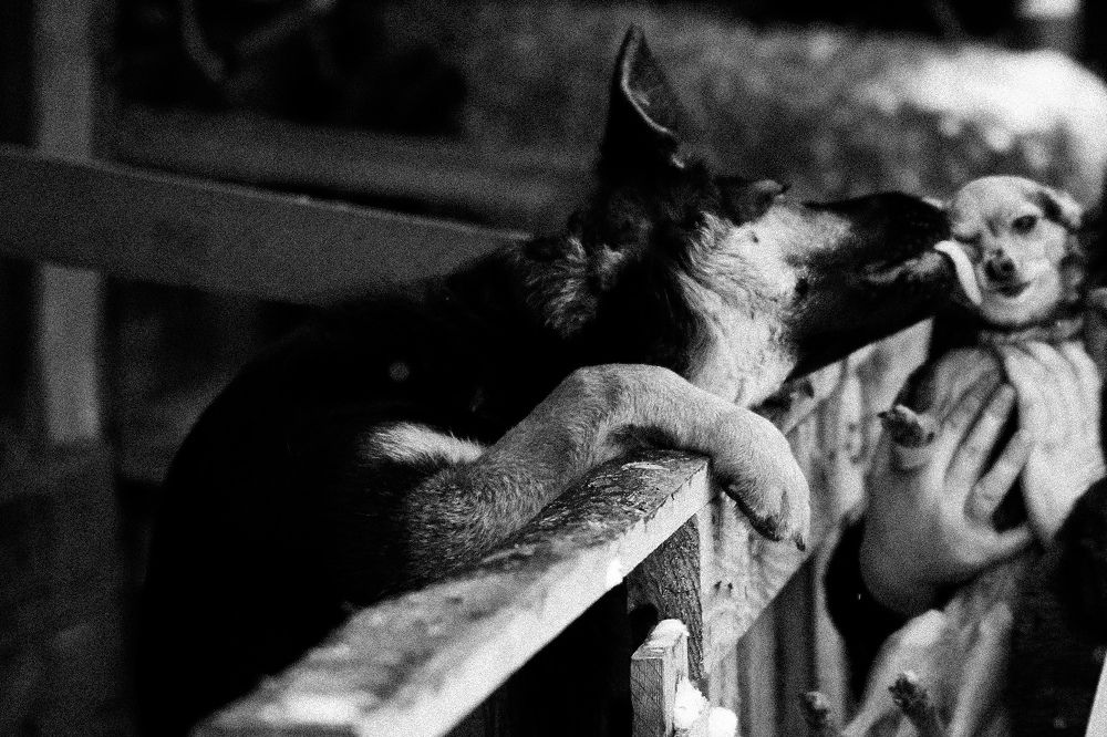 Радость встречи