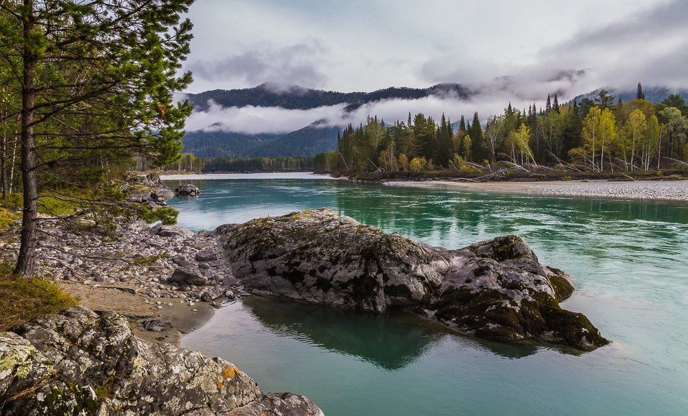 Горный Алтай. Туманное утро на Катуни