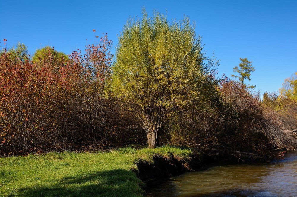 Тепло осени