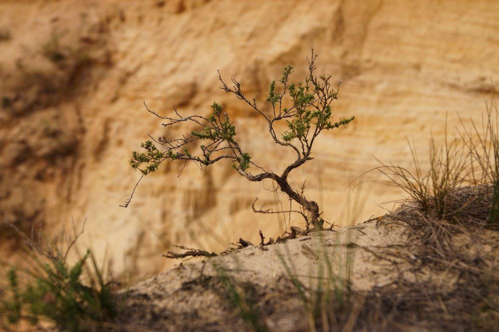 Обман зрения