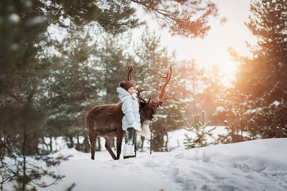 С оленем на прогулке