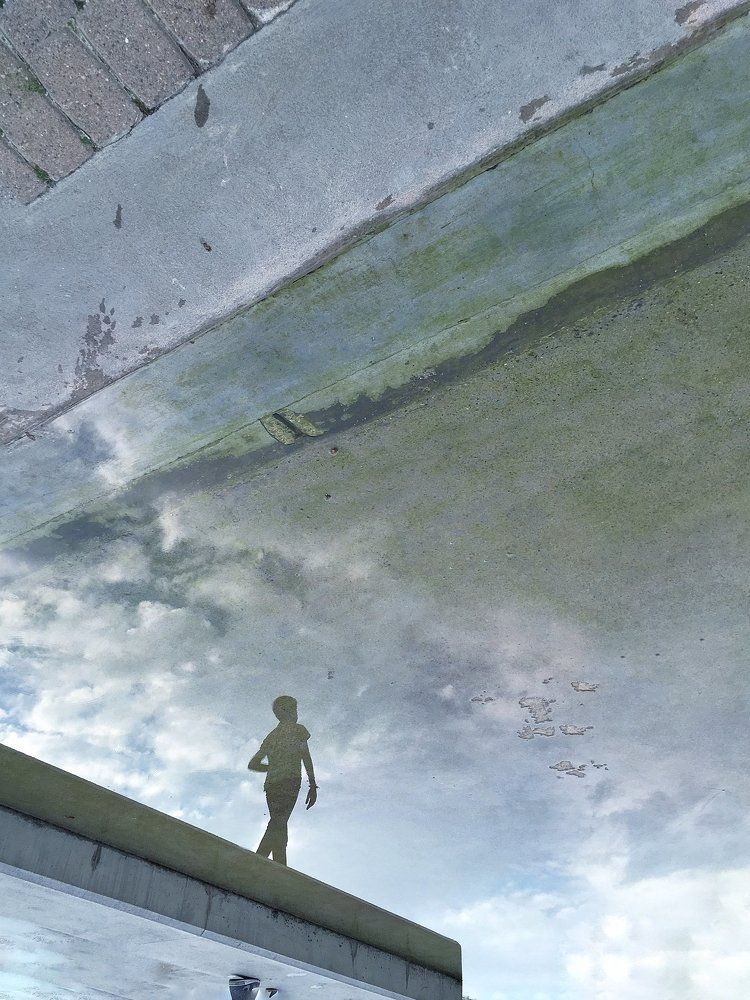 Le Petit Prince/Маленький принц.