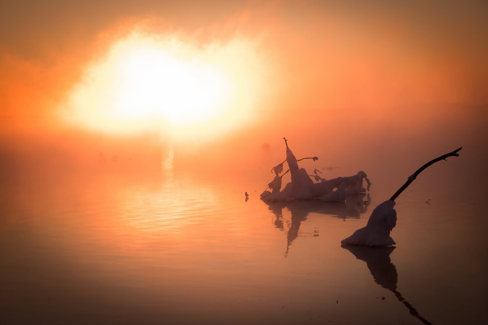 Снежный корабль