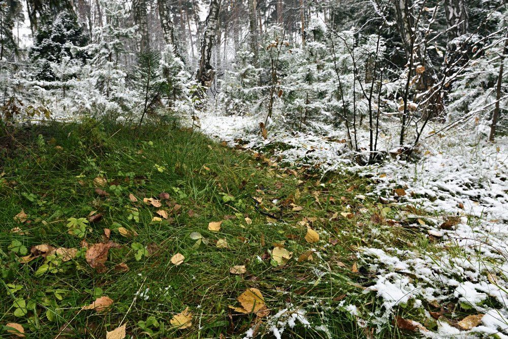 Пересменка