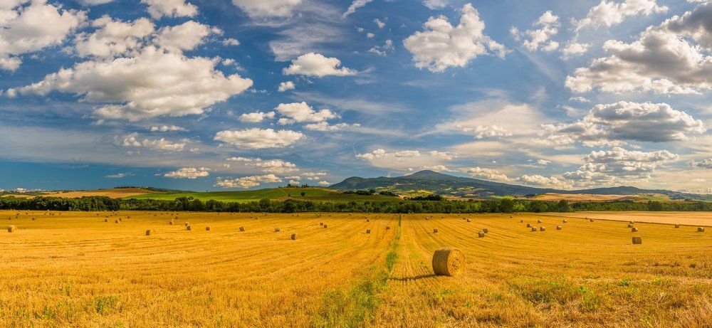 Тосканская пастораль