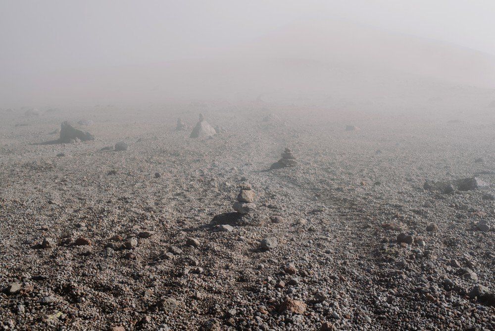 Лунная поляна