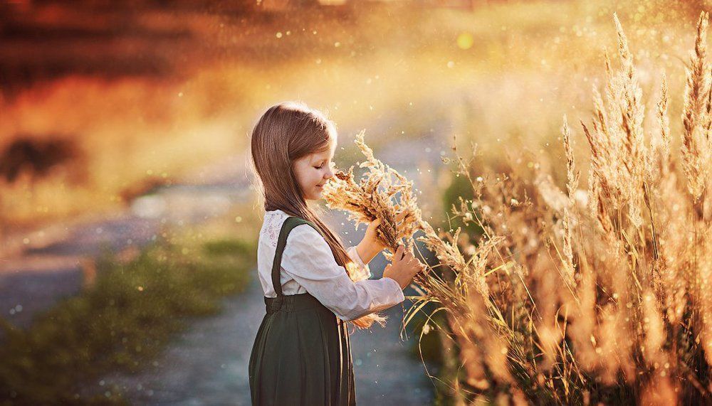 Вечер в поле