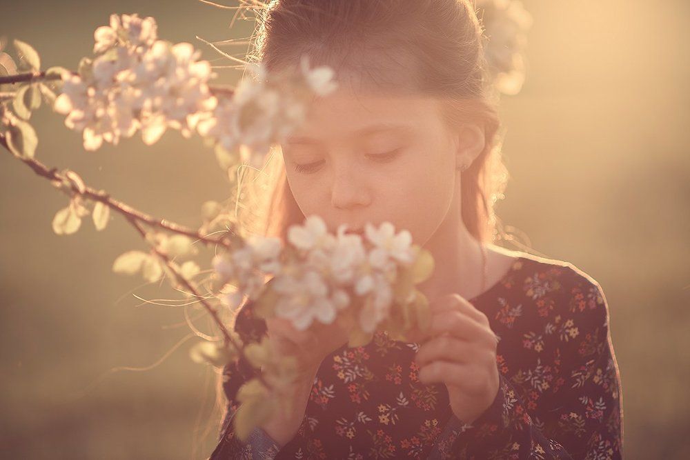 Цветущие сады