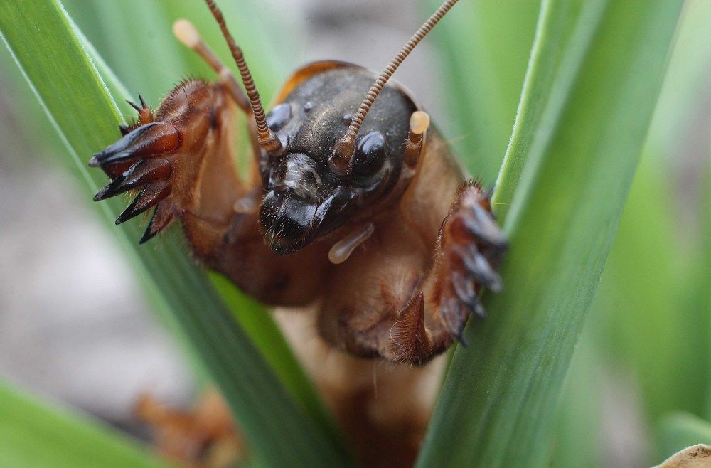 Photograph by Викулов Николай