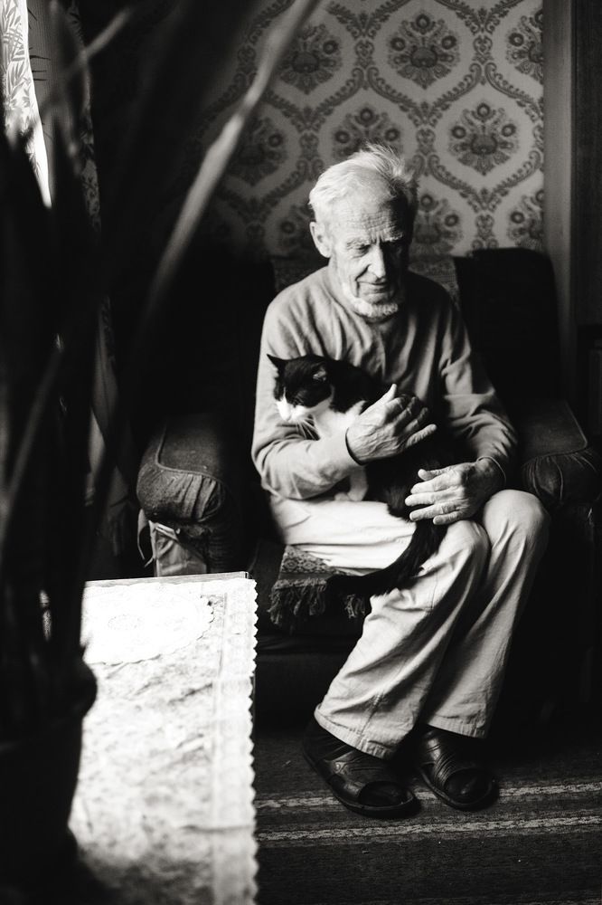 Старые друзья