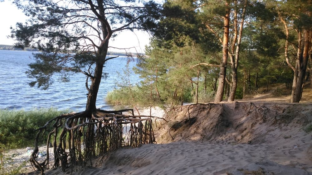 Песок времени