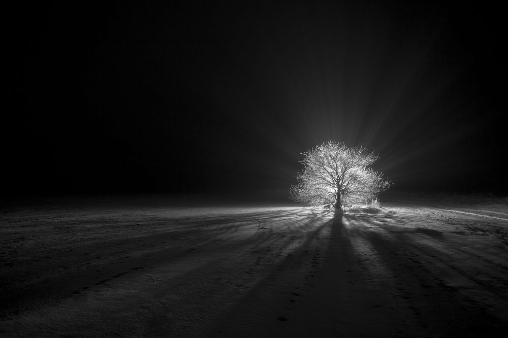 Призрачный воин