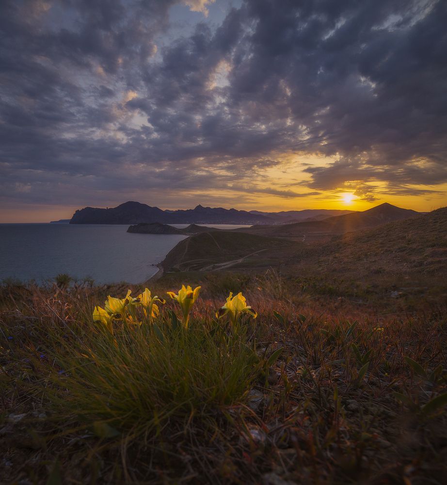 Наблюдающие за закатом