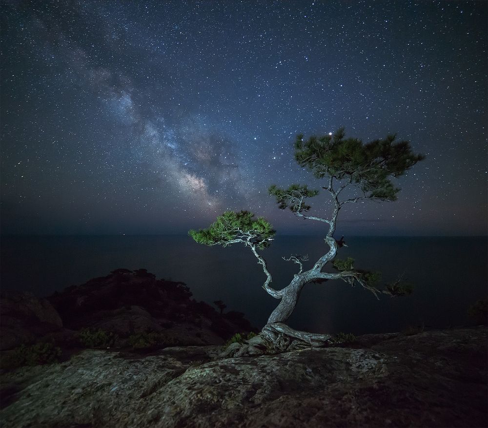 Открытый Космос