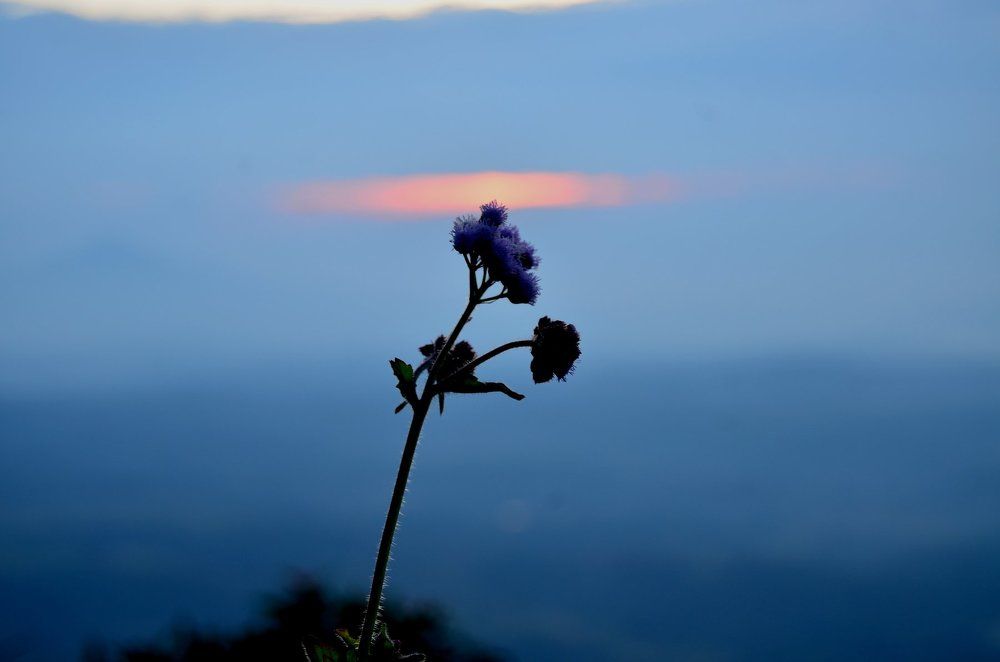 Calmness