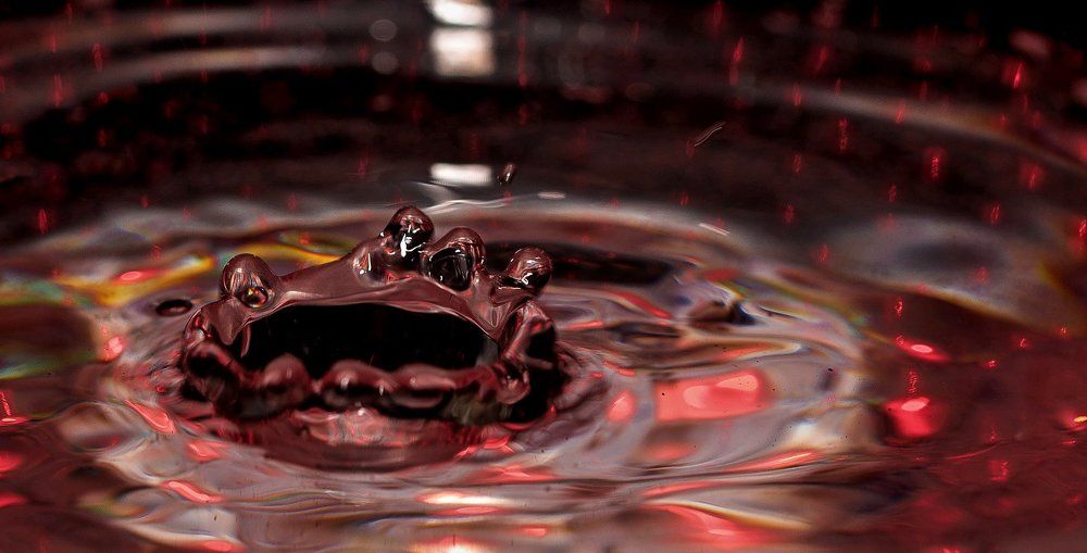 Photograph by Сергей Басов