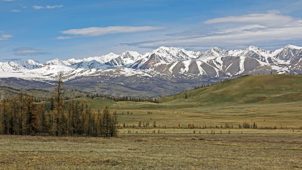 Пробуждение природы...