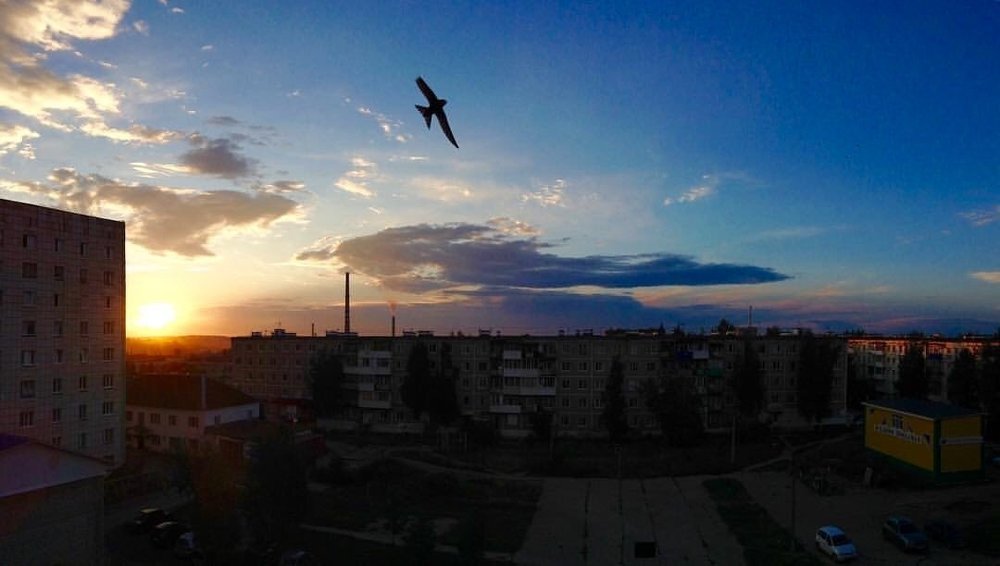 Вечерний полёт