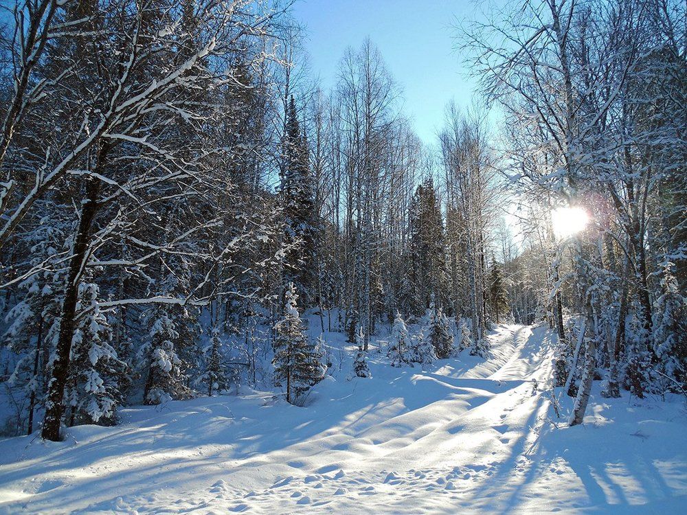 На встречу солнцу...