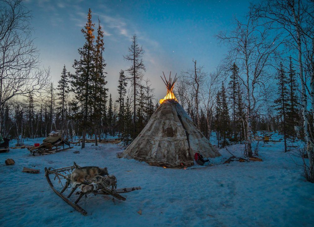 Стойбище ненцев