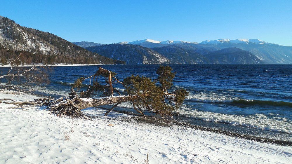 Жажда жизни...